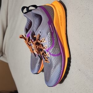 Nike Air Pegasus Trail 4